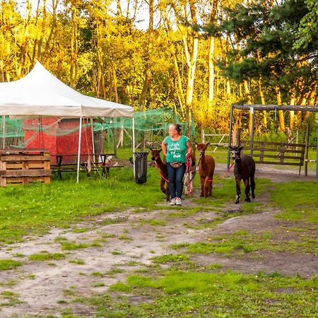 Glamping Z Alpakami Hotel Jankowice  Kültér fotó