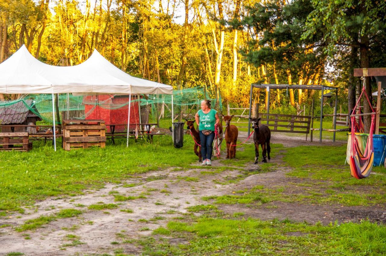 Glamping Z Alpakami Hotel Jankowice  Kültér fotó